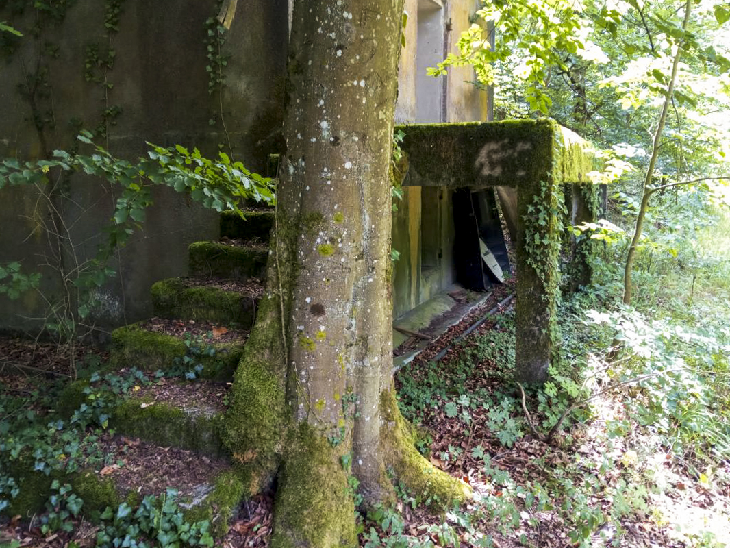 Ligne Maginot - FROESCHWILLER - (Dépôt de Munitions) - Quai de chargement pour camions