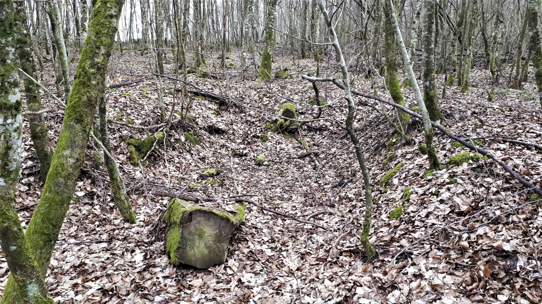 Ligne Maginot - FROESCHWILLER - (Dépôt de Munitions) - Alvéole de stockage