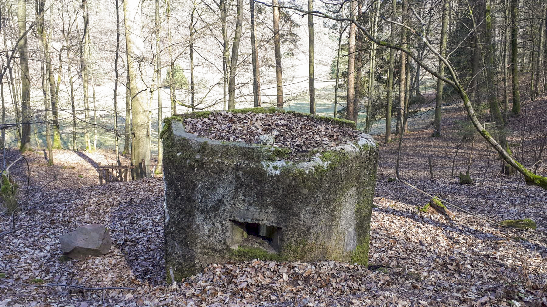 Ligne Maginot - FM76 - GUNSTHAL 1 - (Blockhaus pour arme infanterie) - Vue sur le créneau gauche