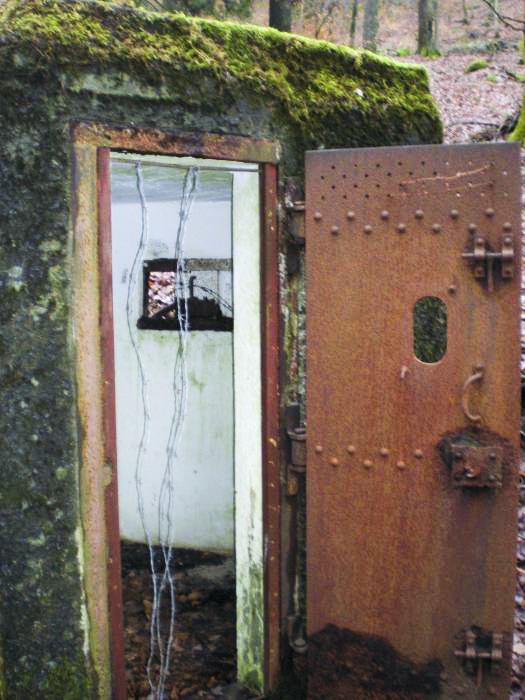 Ligne Maginot - FM76 - GUNSTHAL 1 - (Blockhaus pour arme infanterie) - Entrée