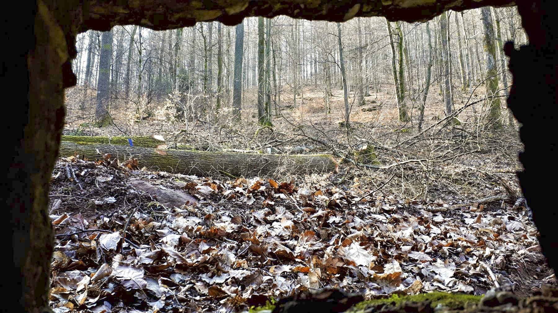 Ligne Maginot - FM76 - GUNSTHAL 1 - (Blockhaus pour arme infanterie) - Vue depuis le créneau gauche