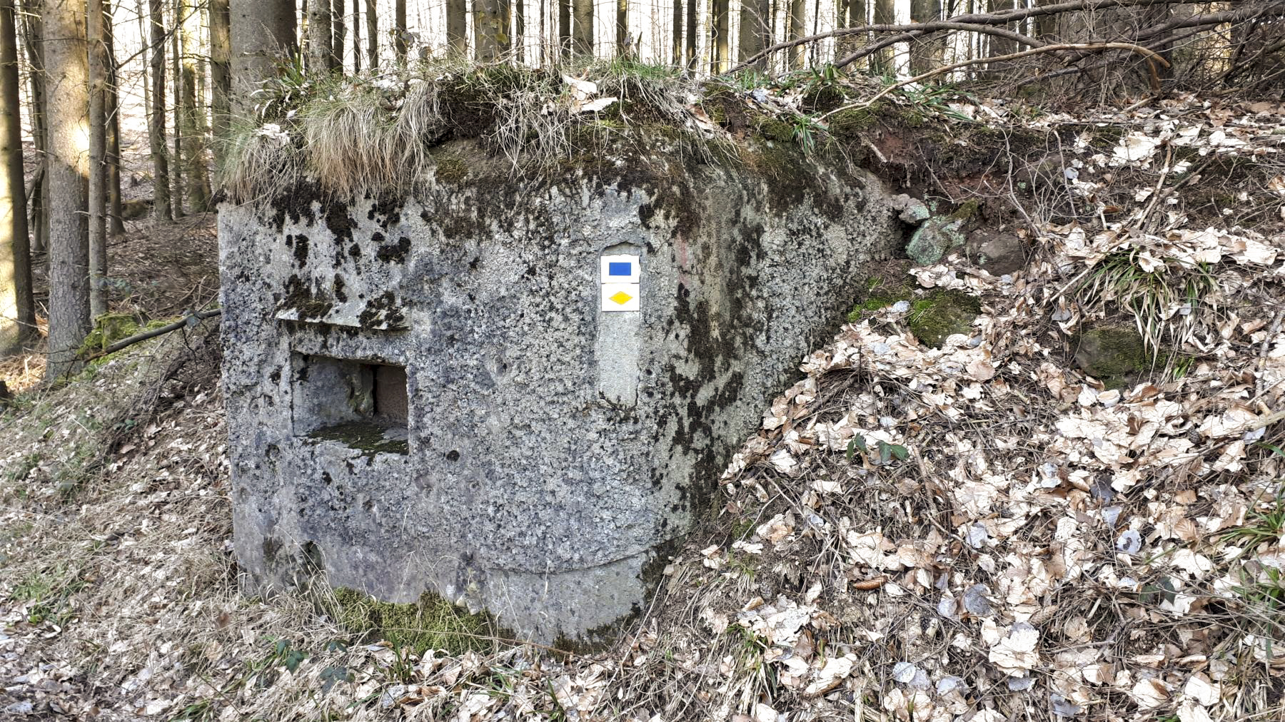 Ligne Maginot - M14 - GUNSTHAL 2 - (Blockhaus pour arme infanterie) - Vue sur le créneau gauche