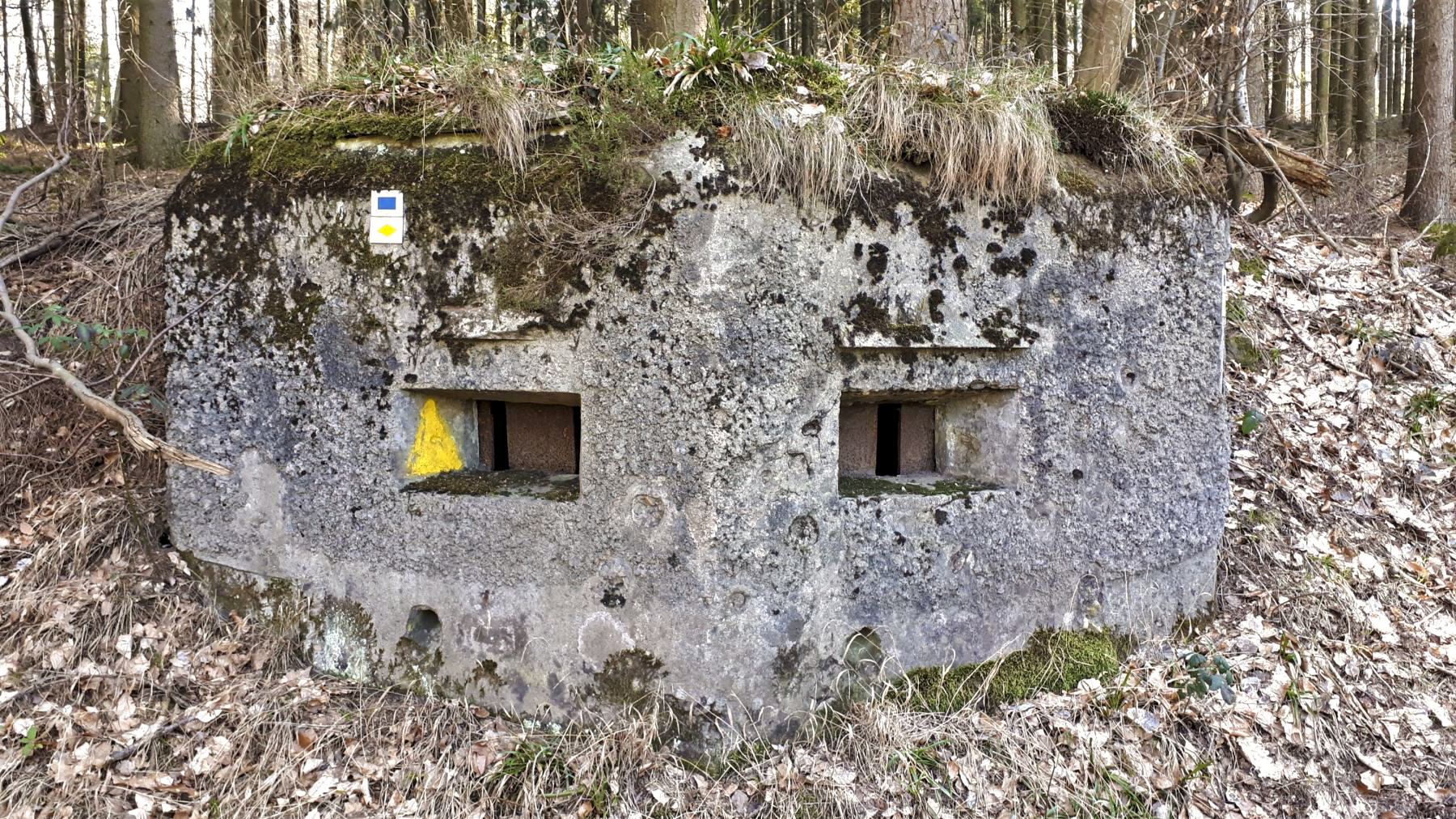 Ligne Maginot - M14 - GUNSTHAL 2 - (Blockhaus pour arme infanterie) - Vue de face