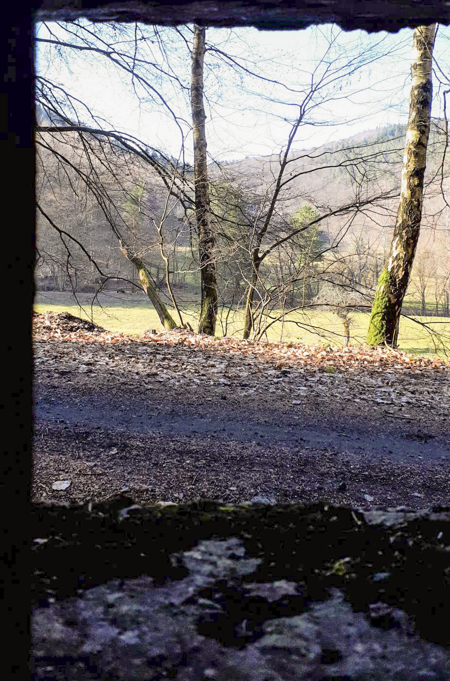 Ligne Maginot - M14 - GUNSTHAL 2 - (Blockhaus pour arme infanterie) - Vue depuis le créneau gauche