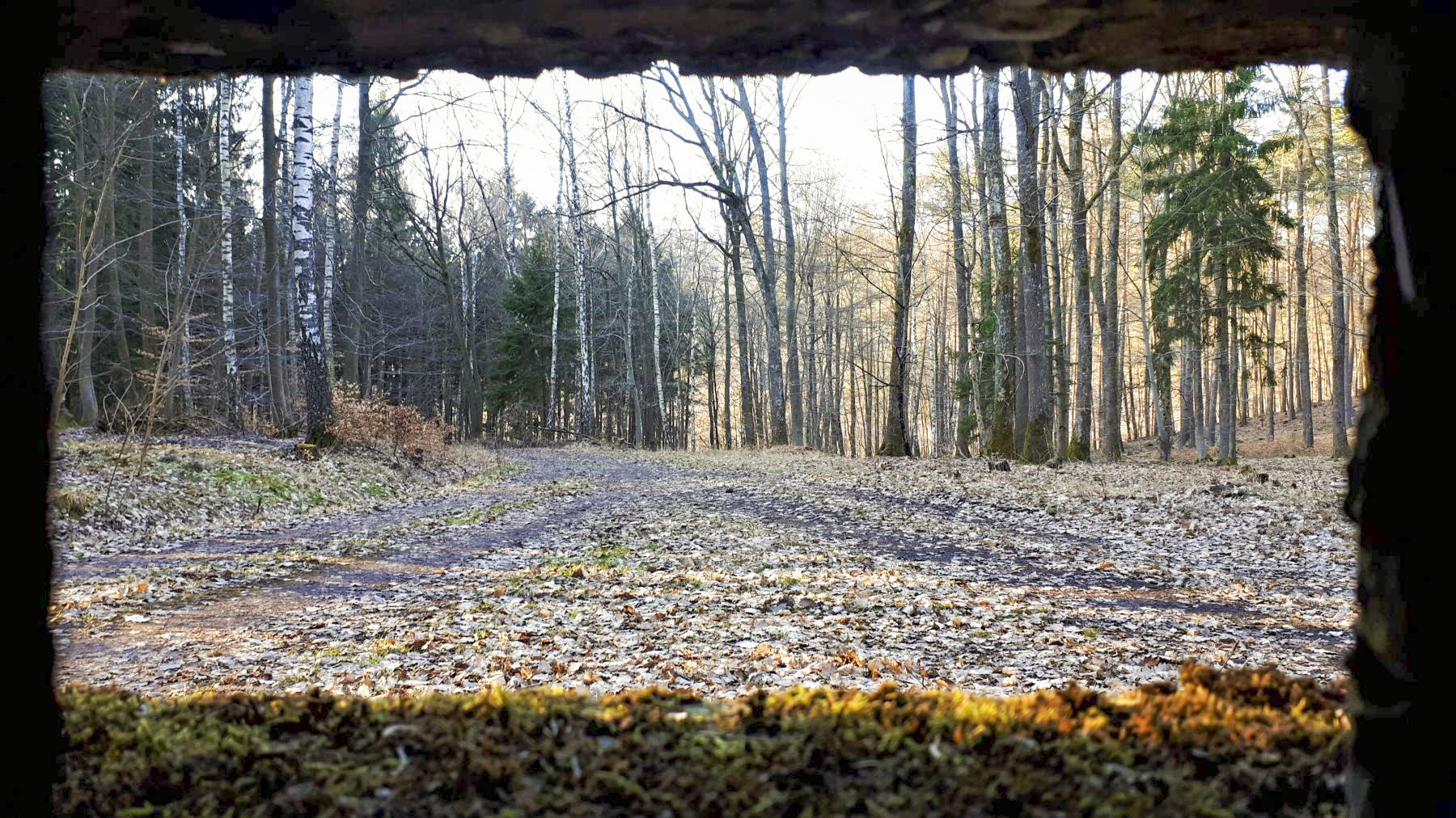 Ligne Maginot - GUNSTHAL 4 - (Blockhaus pour arme infanterie) - Vue depuis le créneau frontal