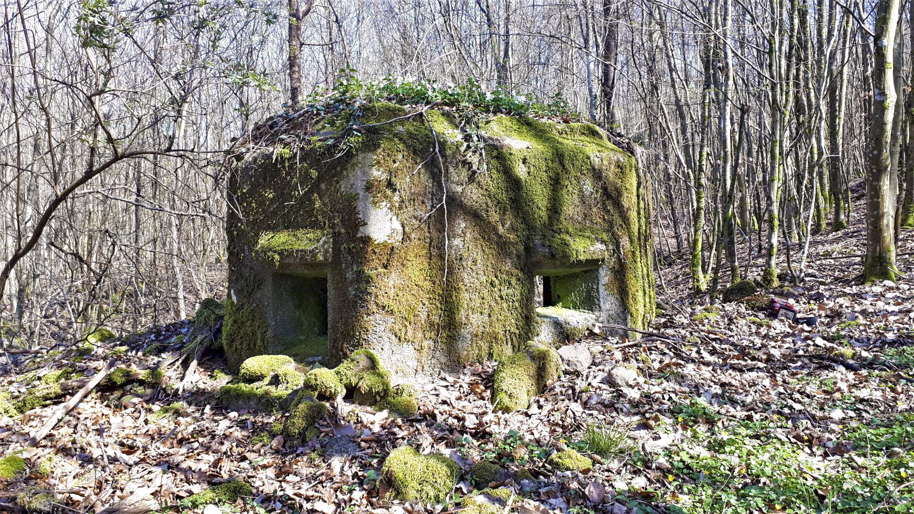 Ligne Maginot - FM9 - HIRTENMATT 1 - (Blockhaus pour arme infanterie) - Créneau frontal et latéral gauche