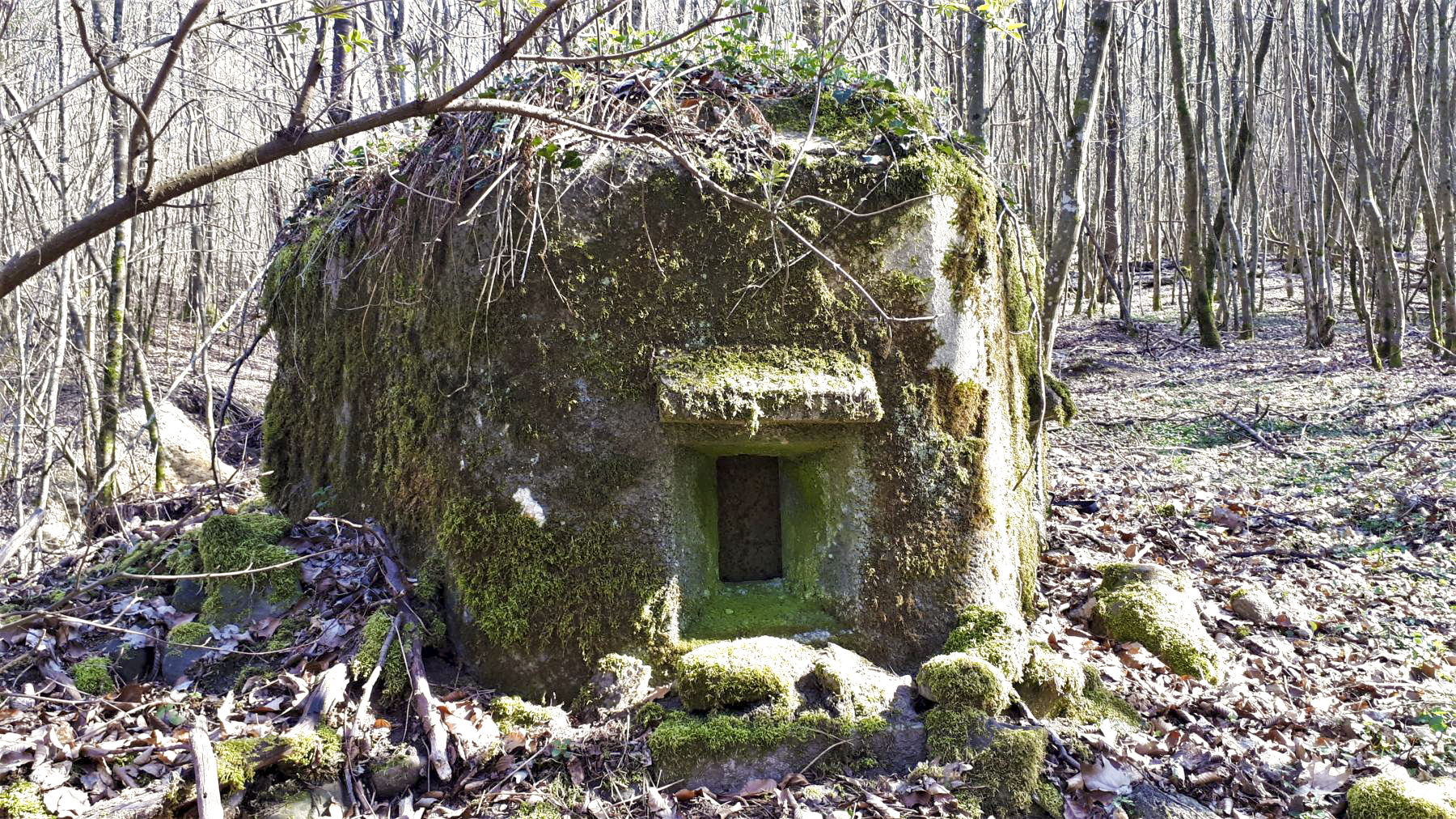 Ligne Maginot - FM9 - HIRTENMATT 1 - (Blockhaus pour arme infanterie) - Créneau frontal