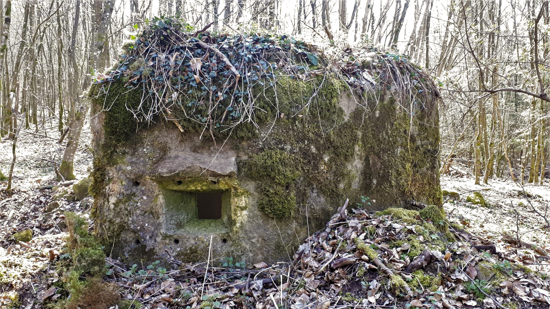 Ligne Maginot - FM9 - HIRTENMATT 1 - (Blockhaus pour arme infanterie) - Créneau latéral droit