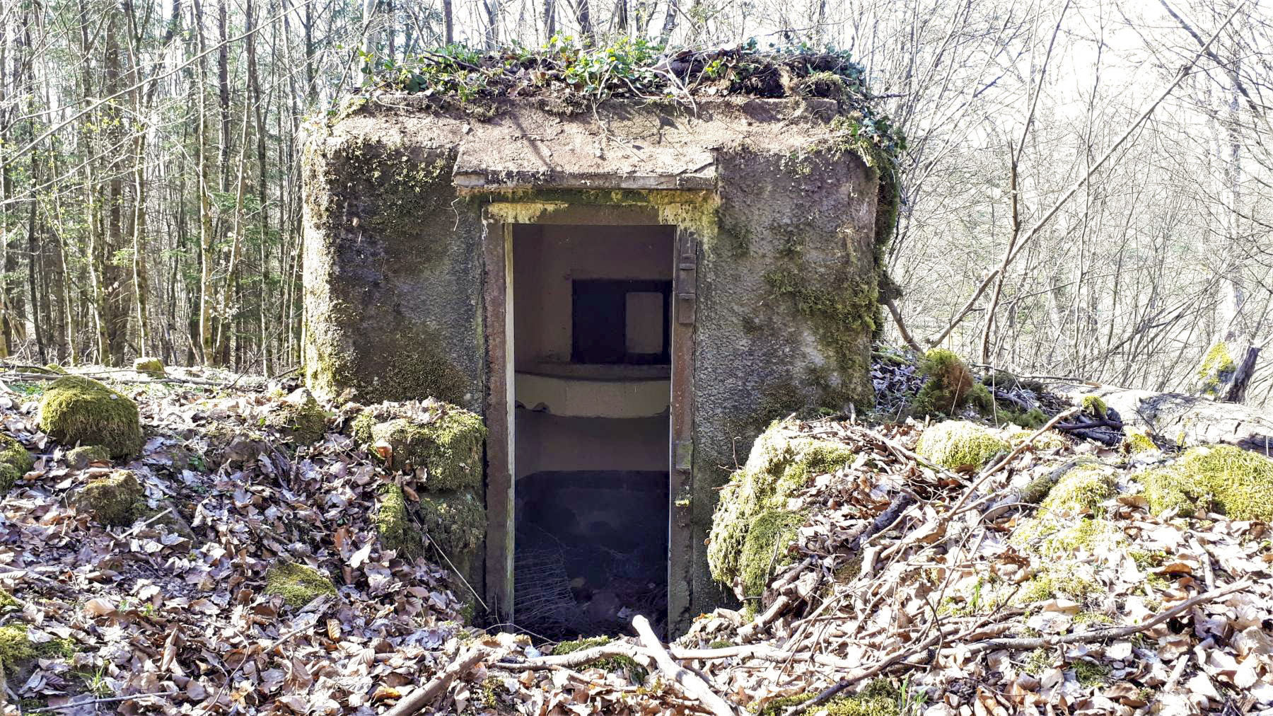 Ligne Maginot - FM9 - HIRTENMATT 1 - (Blockhaus pour arme infanterie) - L'entrée