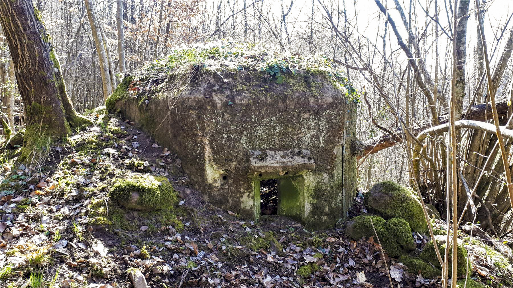 Ligne Maginot - FM10 - HIRTENMATT 2 - (Blockhaus pour arme infanterie) - Créneau frontal