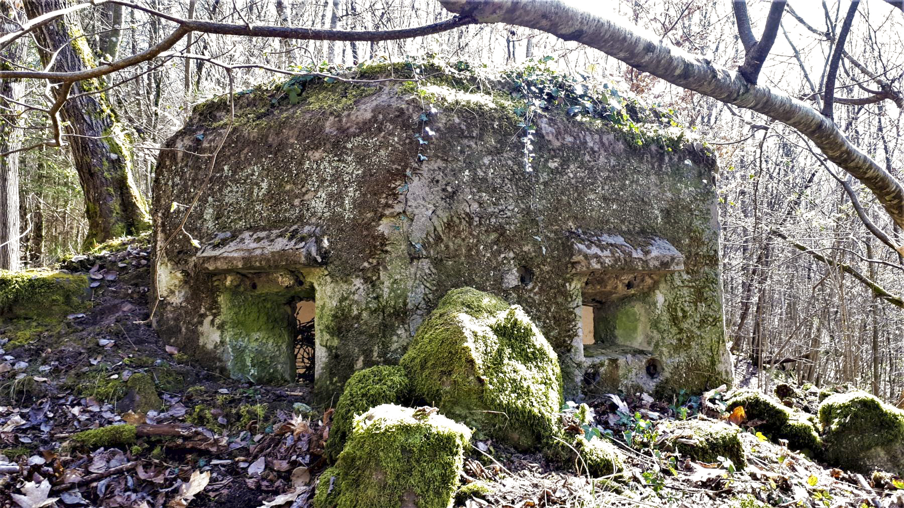 Ligne Maginot - FM10 - HIRTENMATT 2 - (Blockhaus pour arme infanterie) - Créneau frontal et latéral gauche