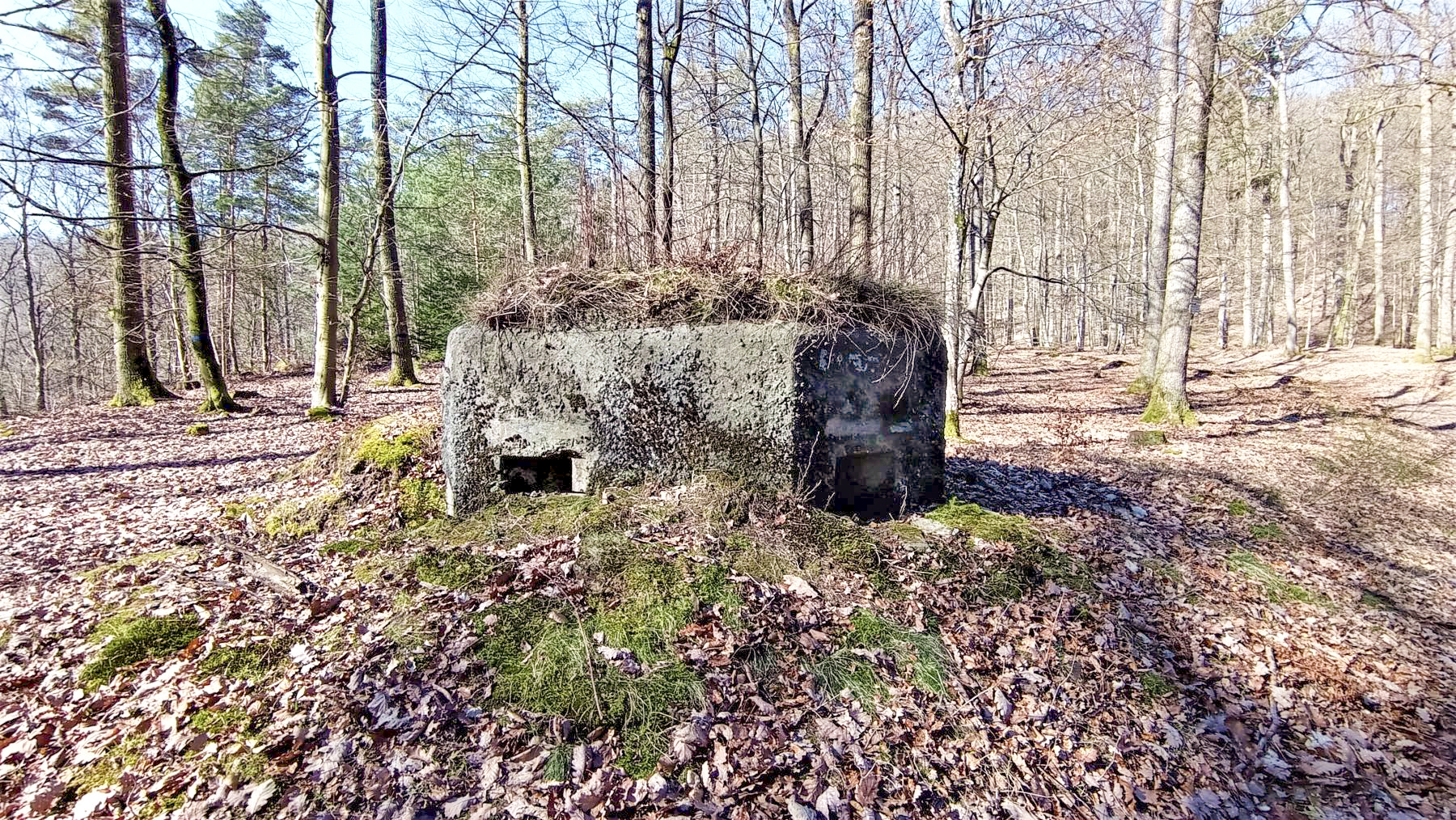 Ligne Maginot - FM38 - DIEBSKOPF 2 - (Blockhaus pour arme infanterie) - Vue coté droit