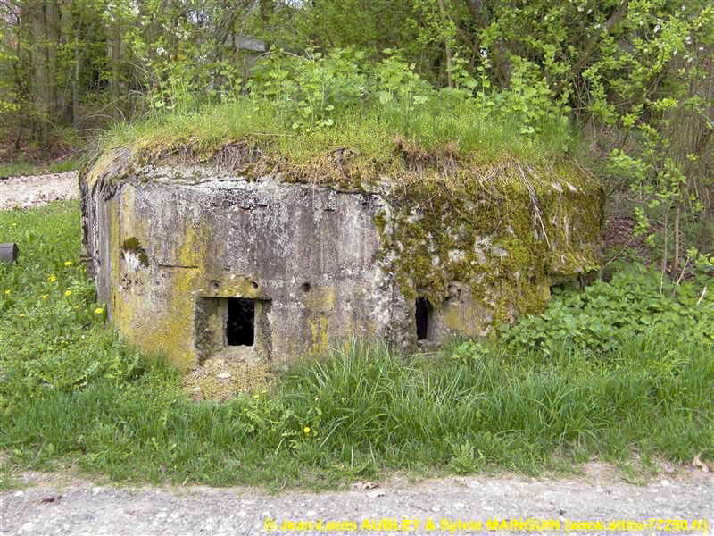 Ligne Maginot - FM51 - MATTSTALL EST - (Blockhaus pour arme infanterie) - 