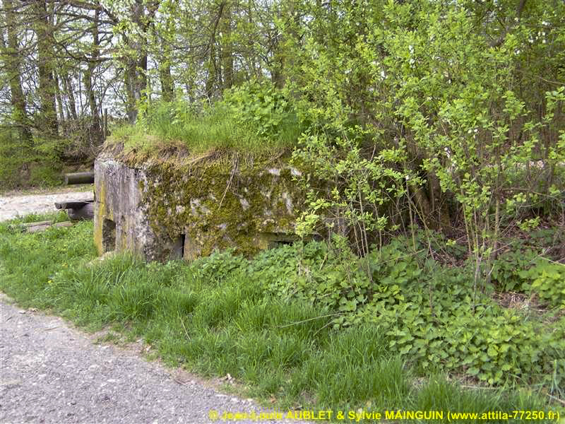 Ligne Maginot - FM51 - MATTSTALL EST - (Blockhaus pour arme infanterie) - 