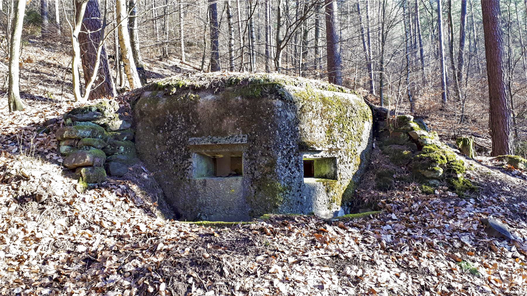 Ligne Maginot - M79 - BETZENTHAL 2 - (Blockhaus pour arme infanterie) - Vue de face, noter le décalage des créneaux