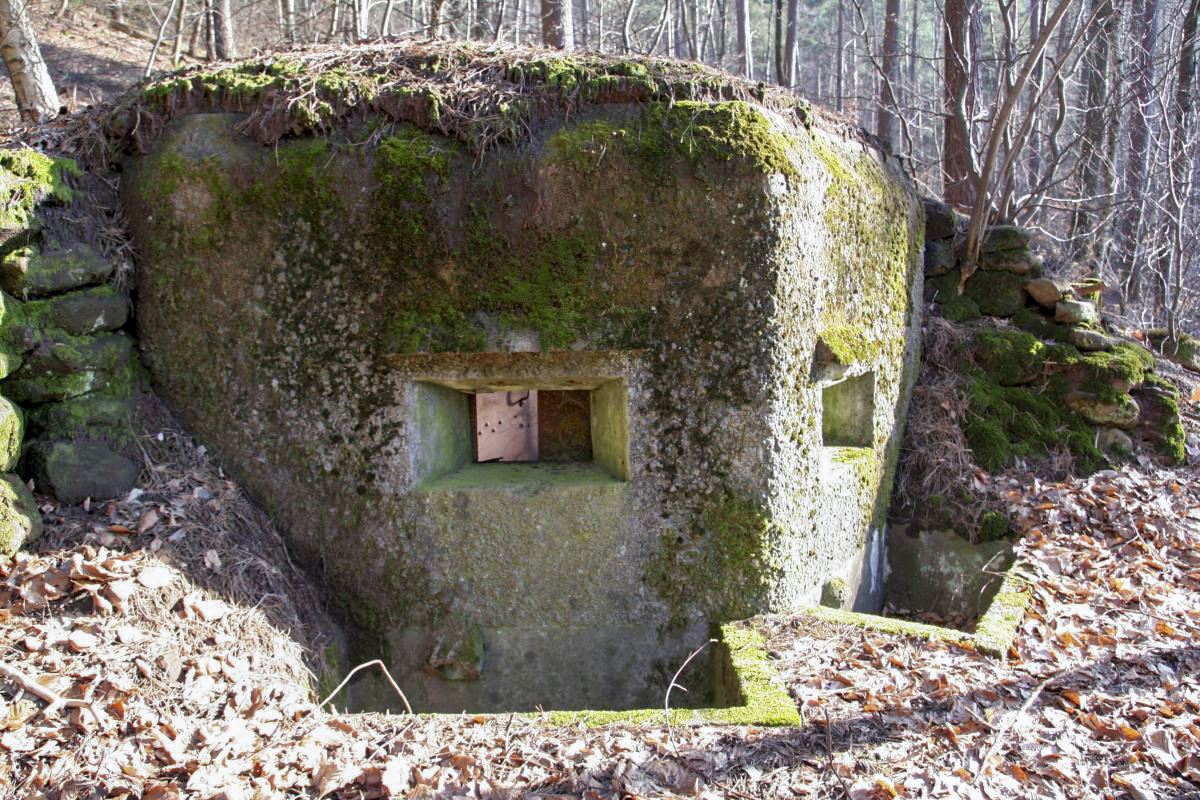 Ligne Maginot - M79 - BETZENTHAL 2 - (Blockhaus pour arme infanterie) - Vue sur le créneau de droite, noter les fosses à douilles aménagées devant les créneaux