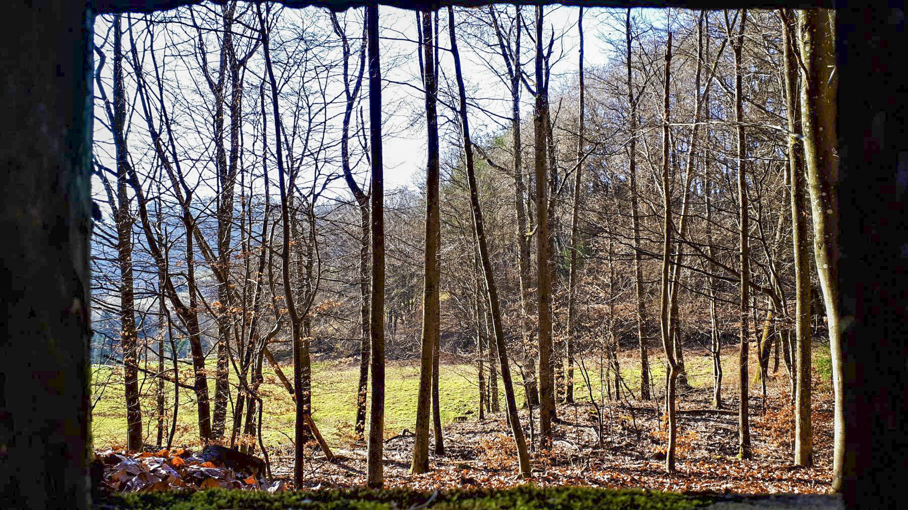 Ligne Maginot - M79 - BETZENTHAL 2 - (Blockhaus pour arme infanterie) - Vue depuis le créneau gauche, axé au nord-ouest