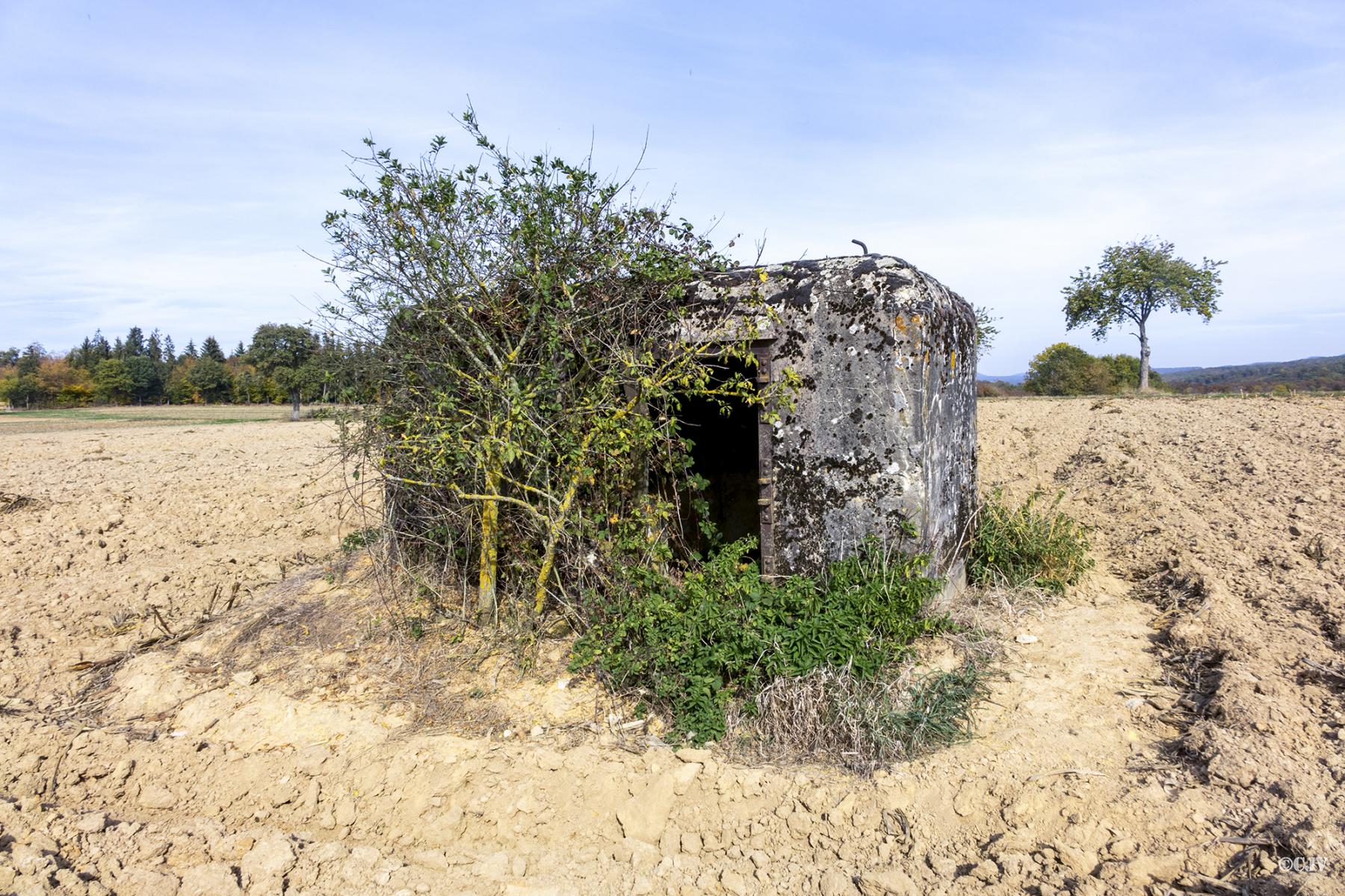 Ligne Maginot - LIES 1 - (Blockhaus pour arme infanterie) - 