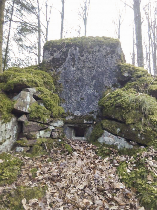 Ligne Maginot - FM35 - NONNENHARDT OUEST 1 - (Blockhaus pour arme infanterie) - Créneau frontal