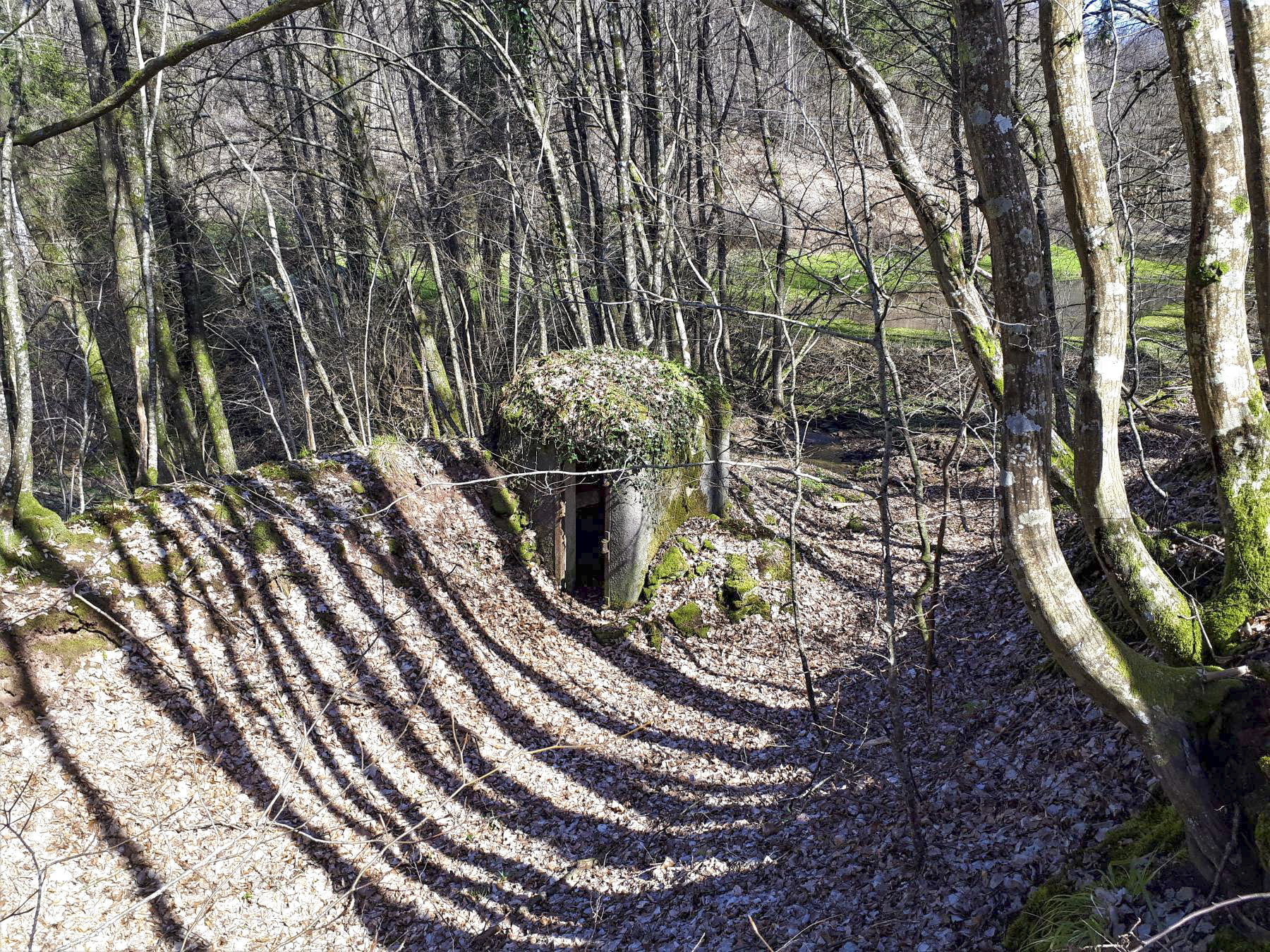 Ligne Maginot - FM5 - SCHMELZBACH 4 - (Blockhaus pour arme infanterie) - Le bloc intégré dans le talus d'un chemin creux