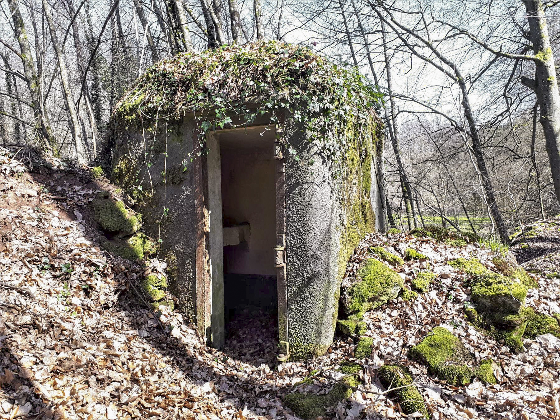 Ligne Maginot - FM5 - SCHMELZBACH 4 - (Blockhaus pour arme infanterie) - L'entrée