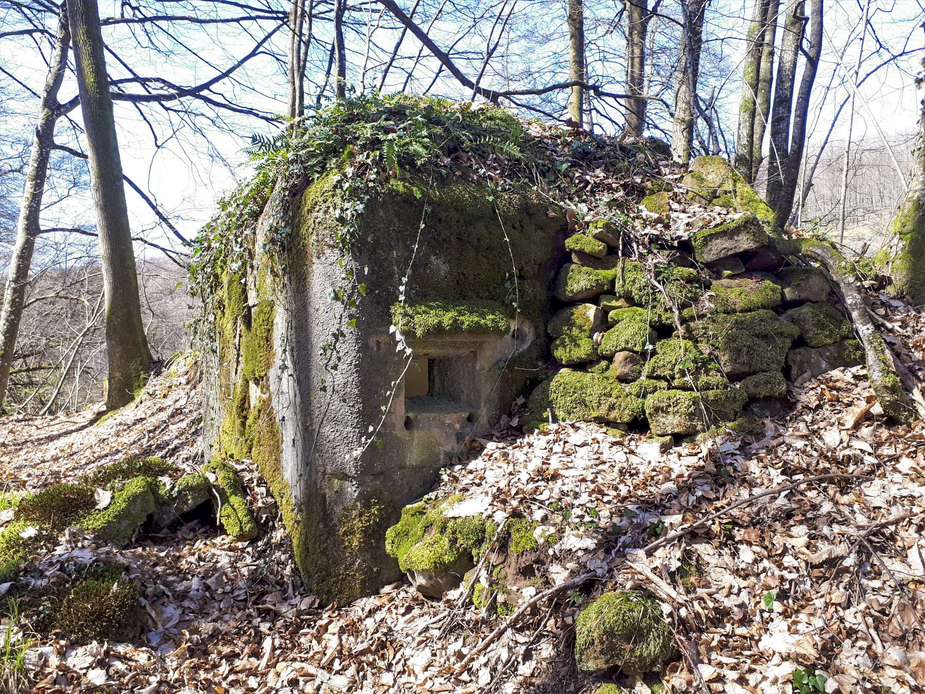 Ligne Maginot - FM5 - SCHMELZBACH 4 - (Blockhaus pour arme infanterie) - Créneau latéral