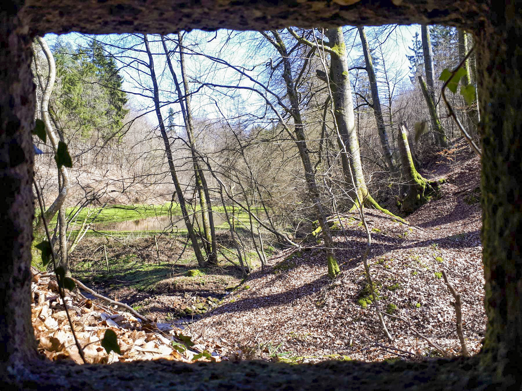 Ligne Maginot - FM5 - SCHMELZBACH 4 - (Blockhaus pour arme infanterie) - Vue depuis le créneau latéral