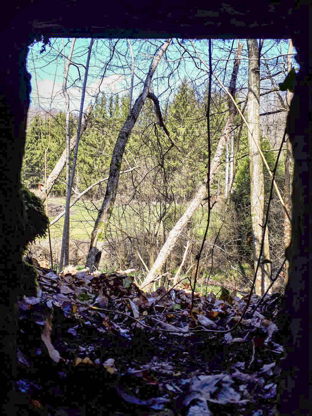 Ligne Maginot - FM5 - SCHMELZBACH 4 - (Blockhaus pour arme infanterie) - Vue depuis le créneau frontal