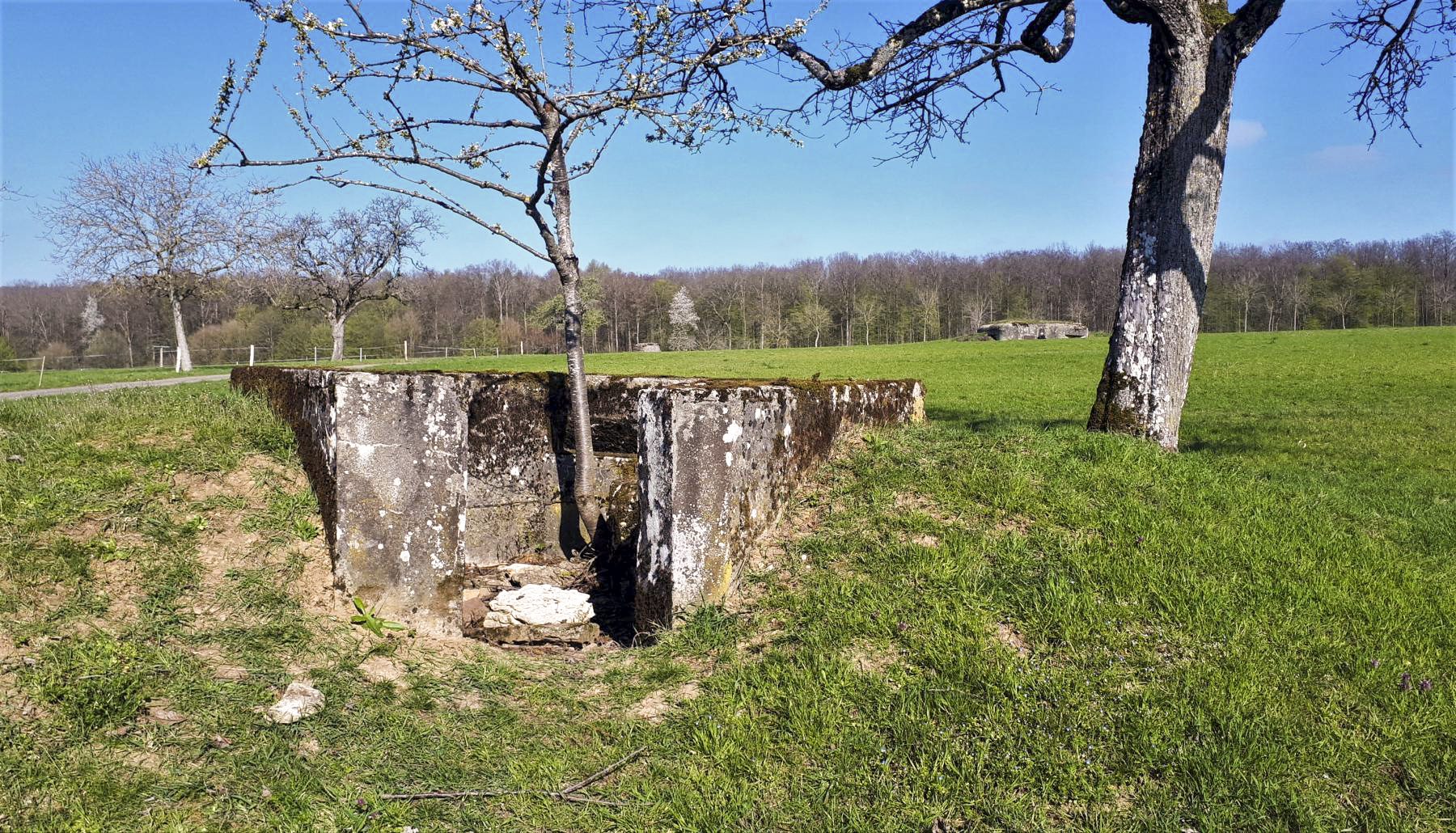 Ligne Maginot - SPIESS 2 - (Cuve pour arme d'infanterie) - Vue sur l'entrée et le bloc Spiess 1