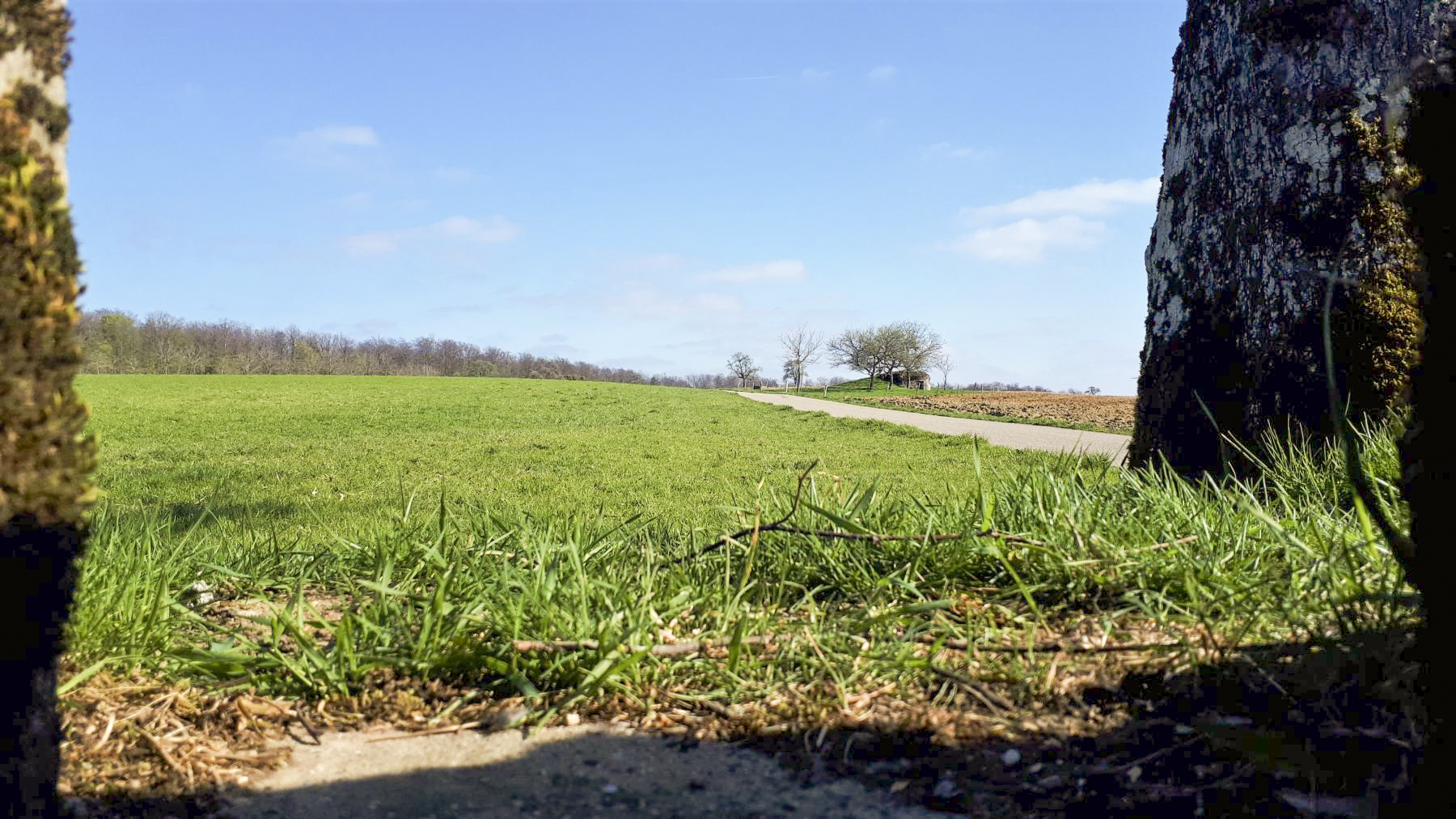 Ligne Maginot - SPIESS 2 - (Cuve pour arme d'infanterie) - Vue depuis le créneau sur la route de Nonnenhardt et le bloc Spiess 3