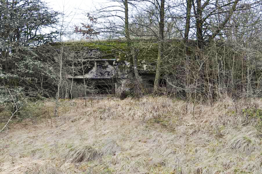 Ligne Maginot - DB2 - (Blockhaus pour canon) - Vue générale sur le Blockhaus