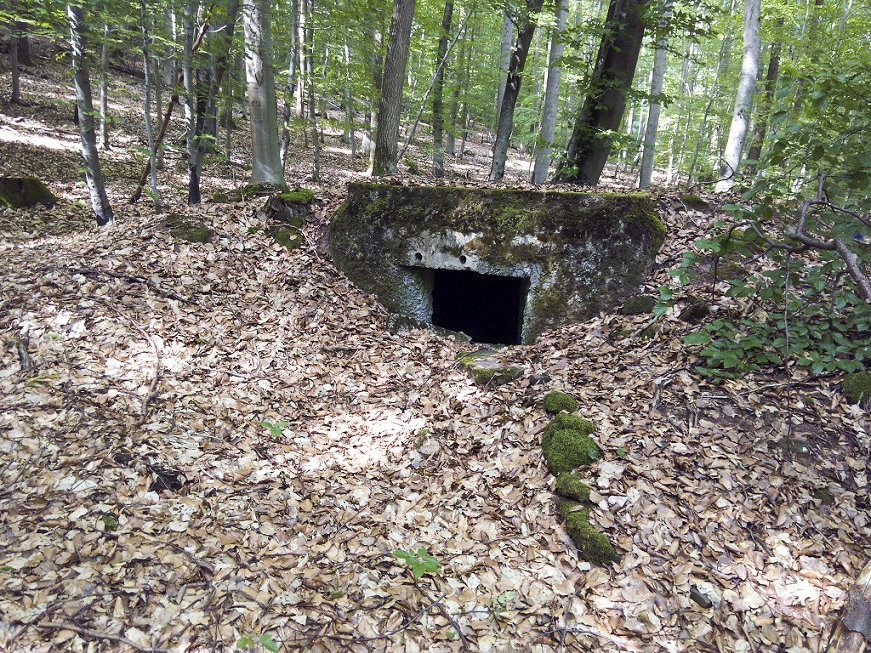 Ligne Maginot - C7 - VERRERIE 2 - (Blockhaus pour canon) - 