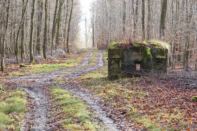 Ligne Maginot - VOEGELSMATT 1 (Blockhaus pour arme infanterie) - 