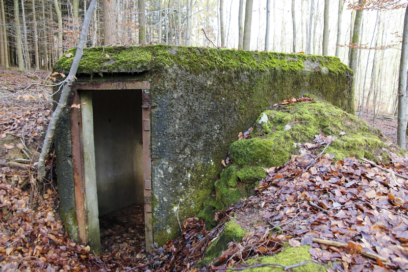 Ligne Maginot - FM53 - VOEGELSMATT 3 - (Blockhaus pour arme infanterie) - 