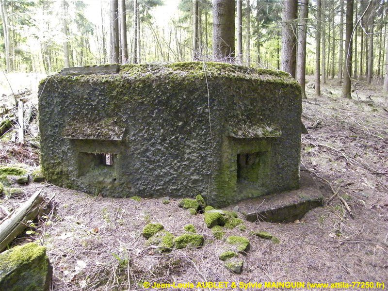 Ligne Maginot - FM24 - VOEGELSMATT 6 - (Blockhaus pour arme infanterie) - 