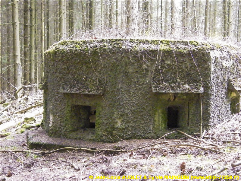 Ligne Maginot - FM24 - VOEGELSMATT 6 - (Blockhaus pour arme infanterie) - 