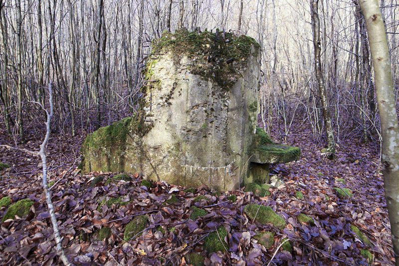 Ligne Maginot - FM22 - VOEGELSMATT 9 - (Blockhaus pour arme infanterie) - 