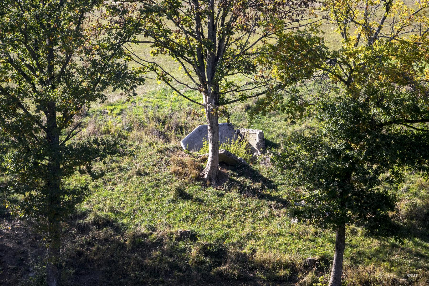 Ligne Maginot - FM86 - WELSCHHOF SUD OUEST - (Blockhaus pour arme infanterie) - Le bloc vu depuis la route