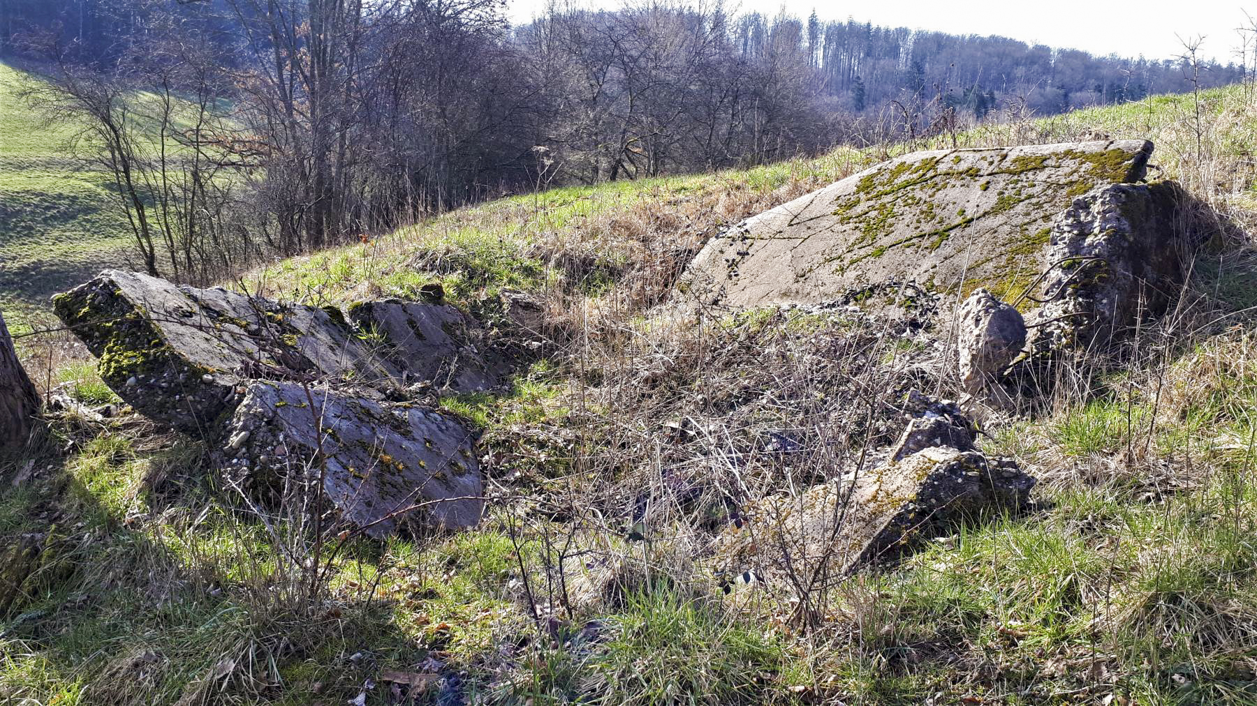 Ligne Maginot - FM86 - WELSCHHOF SUD OUEST - (Blockhaus pour arme infanterie) - Les ruines du bloc