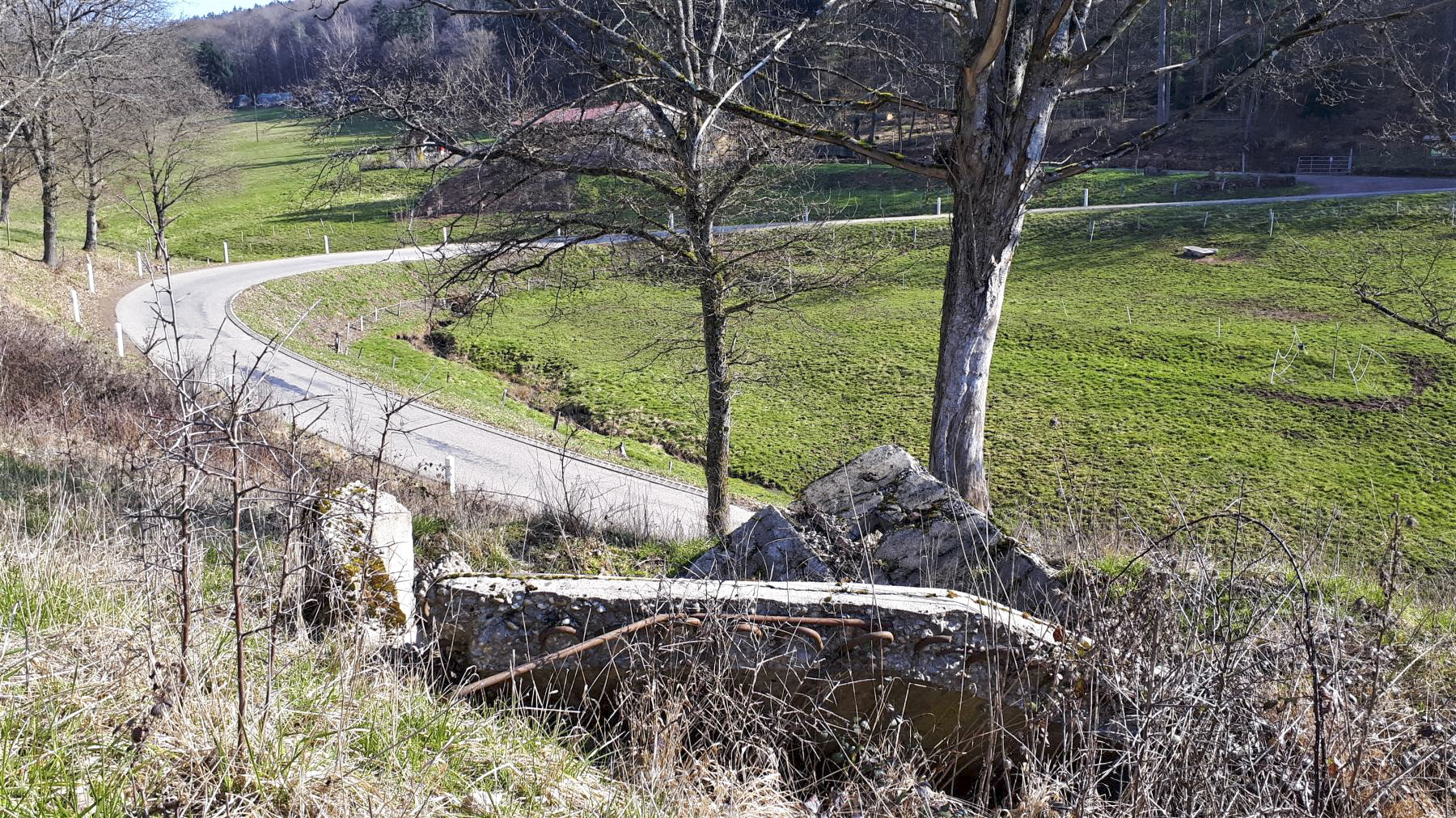 Ligne Maginot - FM86 - WELSCHHOF SUD OUEST - (Blockhaus pour arme infanterie) - Direction de tir du bloc, dans le vallon de Welschhof