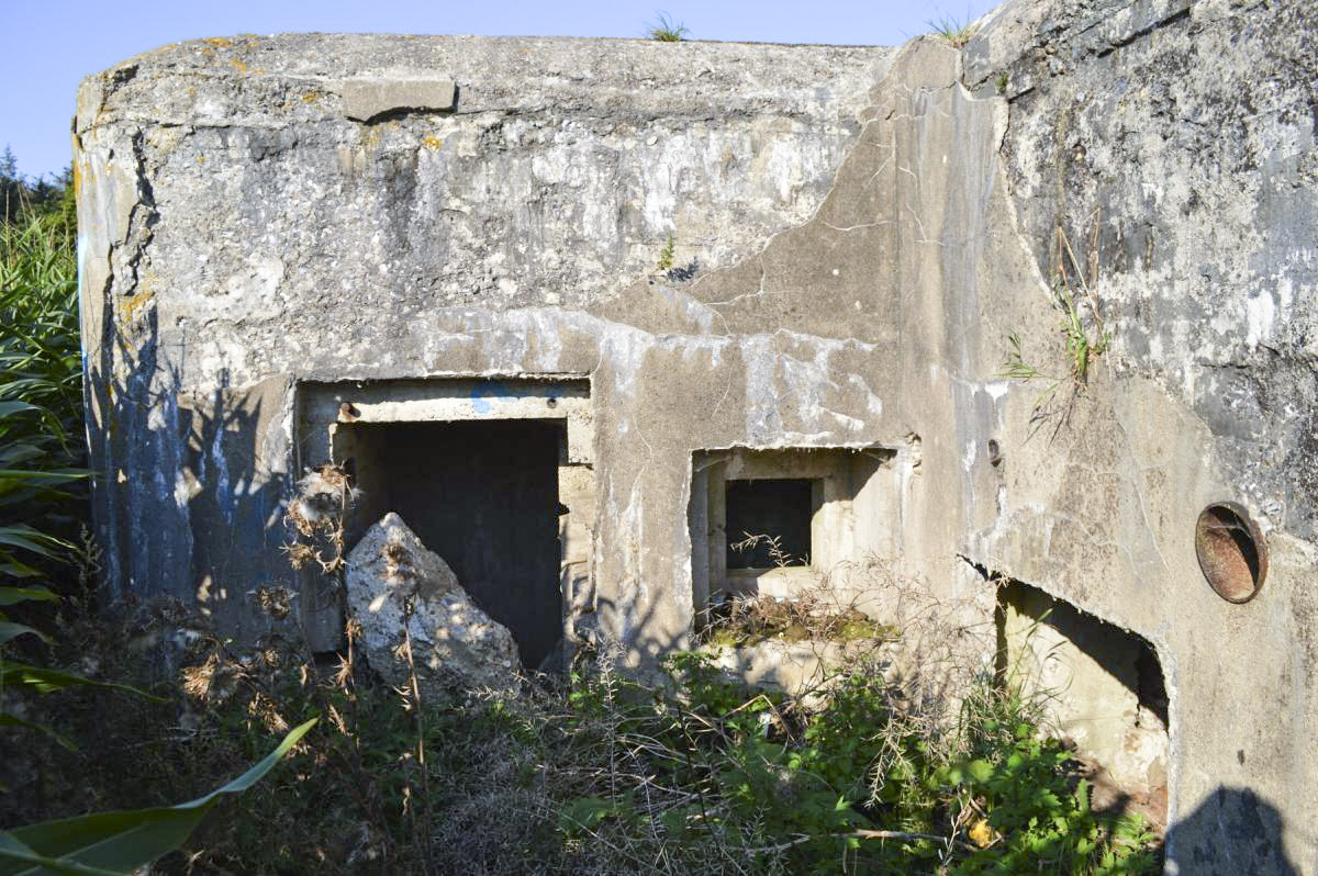 Ligne Maginot - A5 - PONT DE WATOU - (Blockhaus pour canon) - 