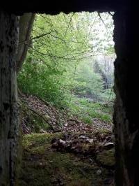 Ligne Maginot - FM28 - TRAUTBACH 2 - (Blockhaus pour arme infanterie) - Vue du créneau frontal gauche, sur le chemin du Trautbach