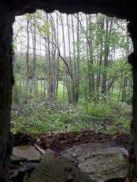 Ligne Maginot - FM27 - TRAUTBACH 3 - (Blockhaus pour arme infanterie) - Vue du créneau frontal, sur les vallons de Weibersloch et Wachholderfeld