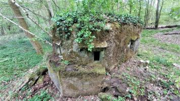 Ligne Maginot - FM27 - TRAUTBACH 3 - (Blockhaus pour arme infanterie) - Vue depuis le créneau frontal gauche 