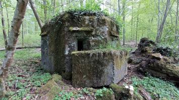 Ligne Maginot - FM27 - TRAUTBACH 3 - (Blockhaus pour arme infanterie) - Vue depuis le créneau frontal droit 