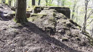 Ligne Maginot - FM35 - NONNENHARDT OUEST 1 - (Blockhaus pour arme infanterie) - Le coté droit rocaillé