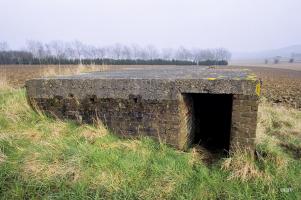 Ligne Maginot - B171 - VLENINKHOF SUD - (Blockhaus pour arme infanterie) - 