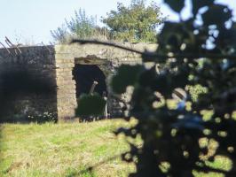 Ligne Maginot - B145 - FOCQUEMPREZ Est (Blockhaus pour arme infanterie) - Vue prise du chemin de la Basse verdure.