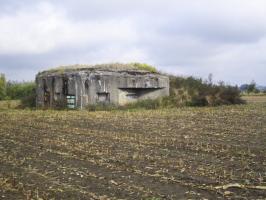 Ligne Maginot - B334 - LA PLAINE NORD - (Blockhaus pour canon) - Blockhaus situé dans son environnement.