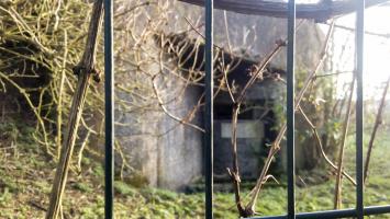 Ligne Maginot - B304 - PETIT MARAIS - (Blockhaus pour canon) - 